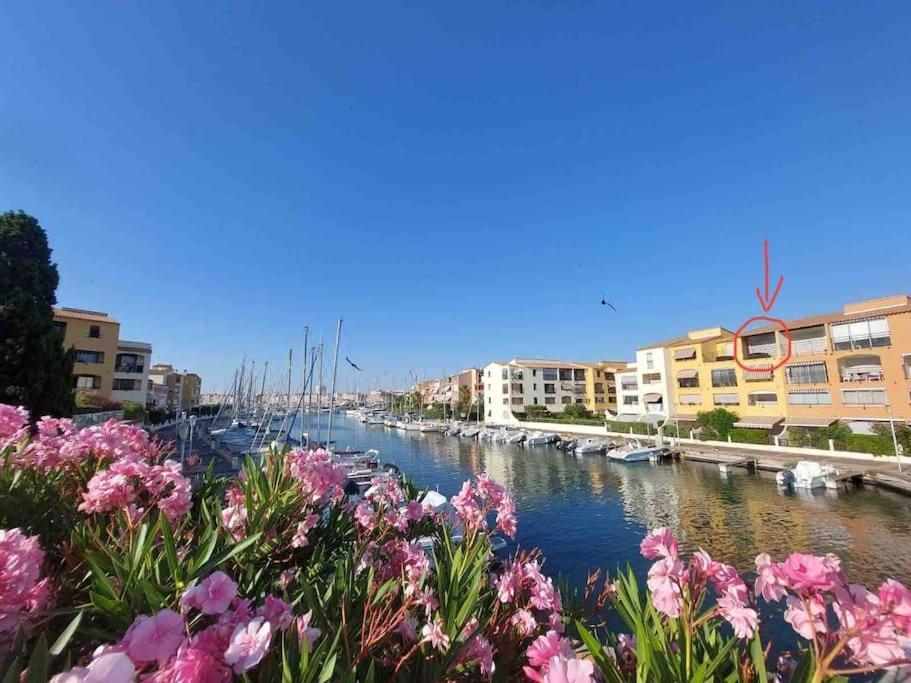 Cap'Nomad Studio Cote Mer - Balcon - Piscine - Parking Agde Eksteriør billede